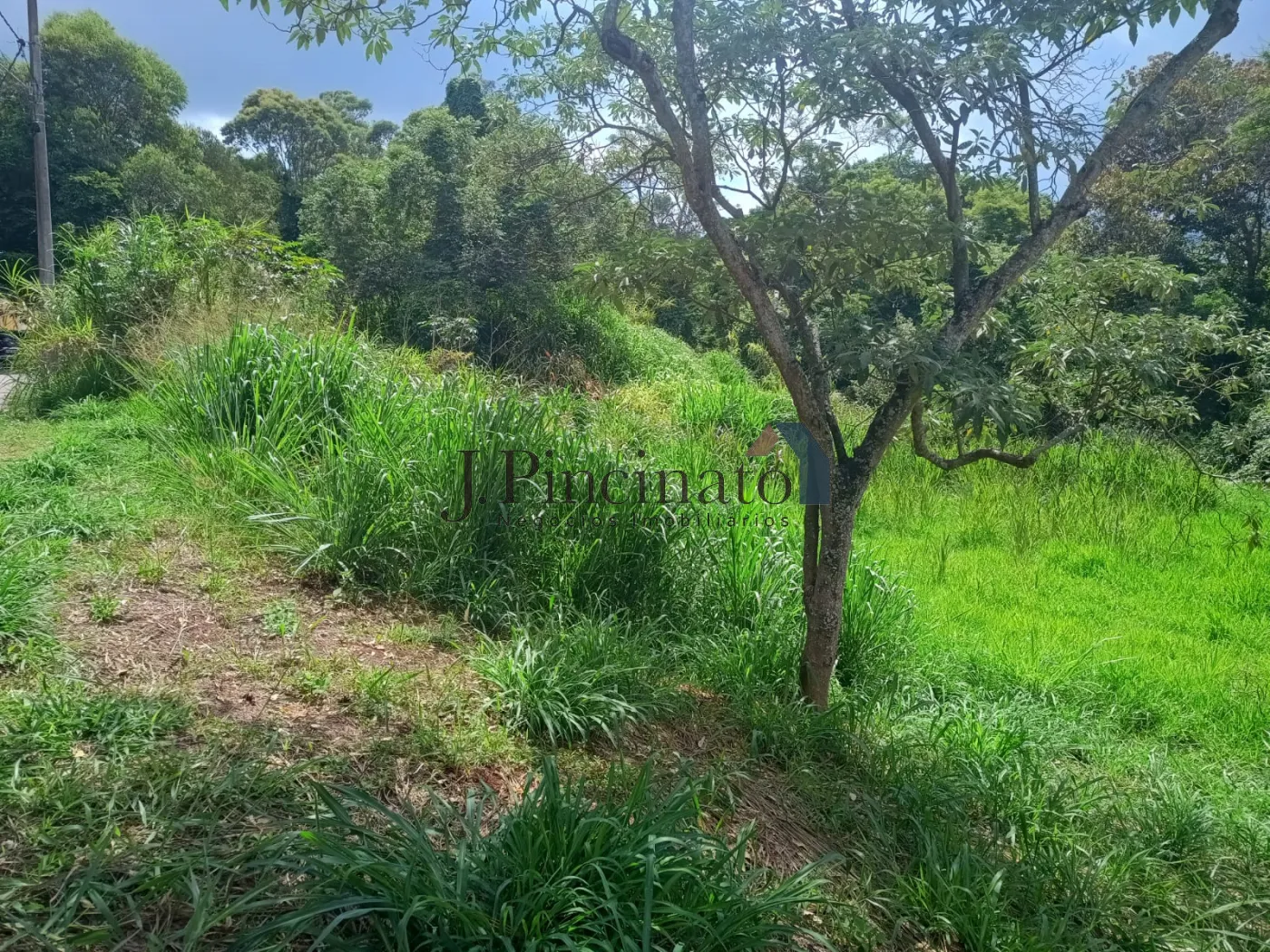 jundiai-comercial-terreno-jardim-celeste-05-12-2024_16-17-59-4.webp