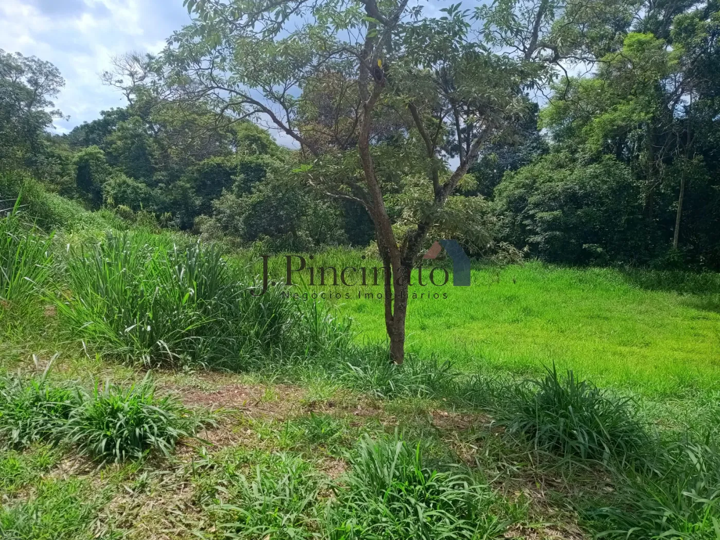 jundiai-comercial-terreno-jardim-celeste-05-12-2024_16-18-00-6.webp
