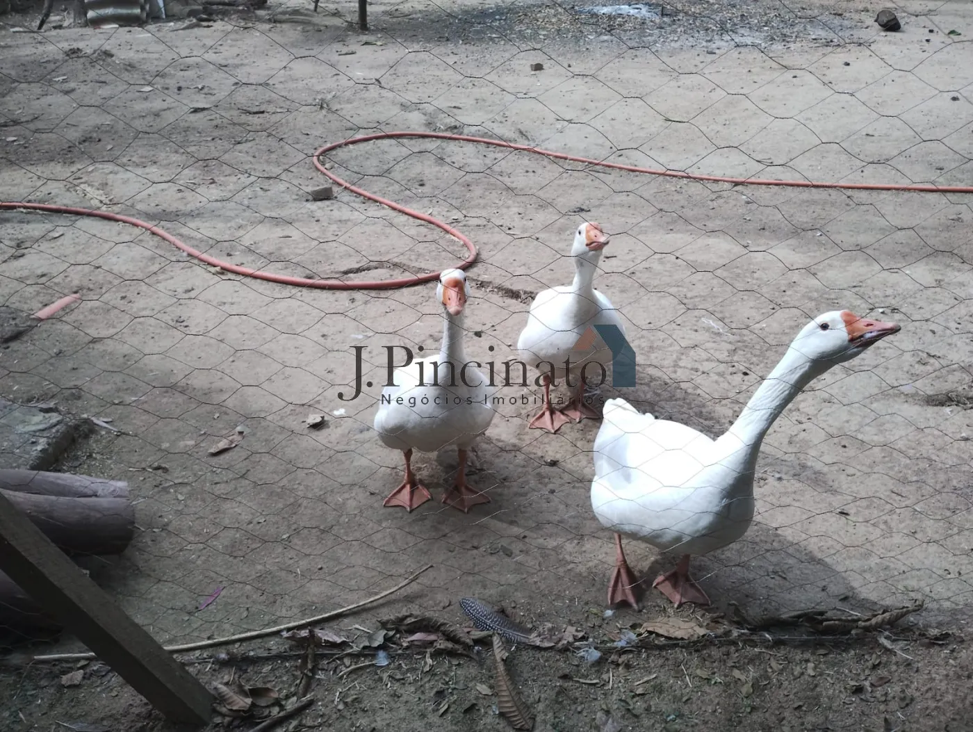 jundiai-chacara-residencial-jundiai-mirim-03-09-2025_12-20-16-58.webp