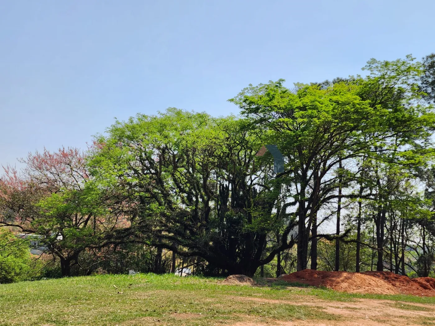 itupeva-terreno-condominio-resedas-27-09-2024_16-55-57-1.webp