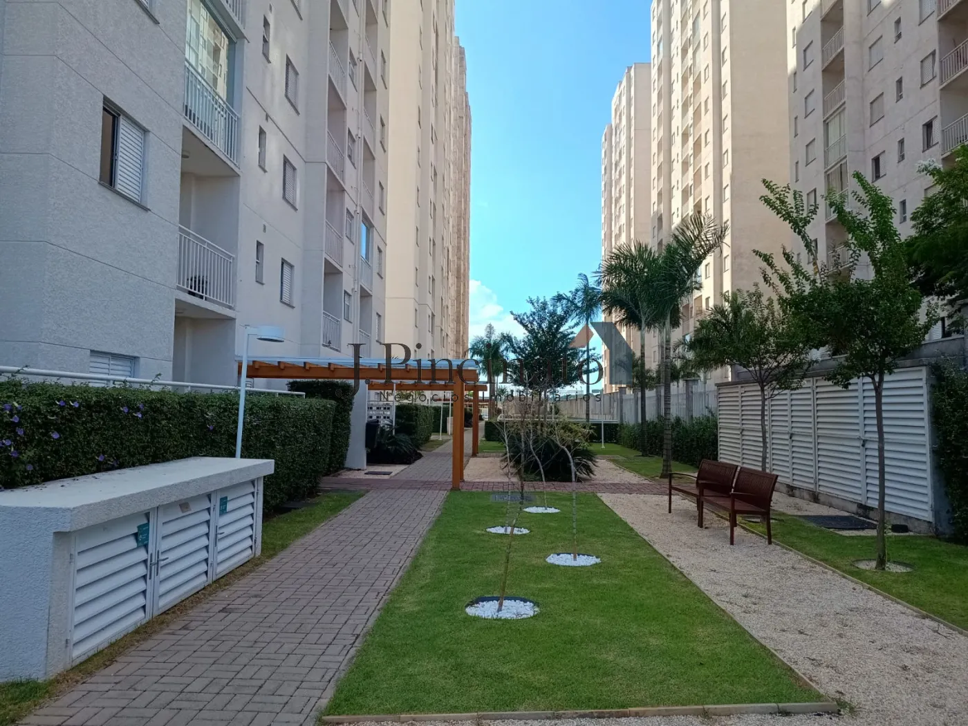 jundiai-apartamento-padrao-vila-lacerda-04-09-2025_09-32-00-2.webp