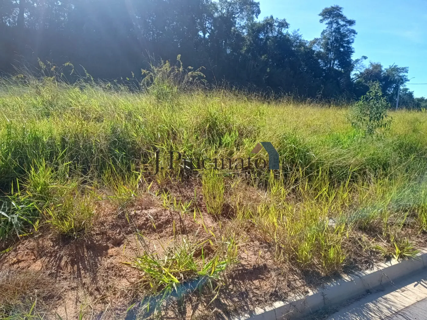 itupeva-terreno-lote-bonfim-16-06-2025_10-22-13-7.webp