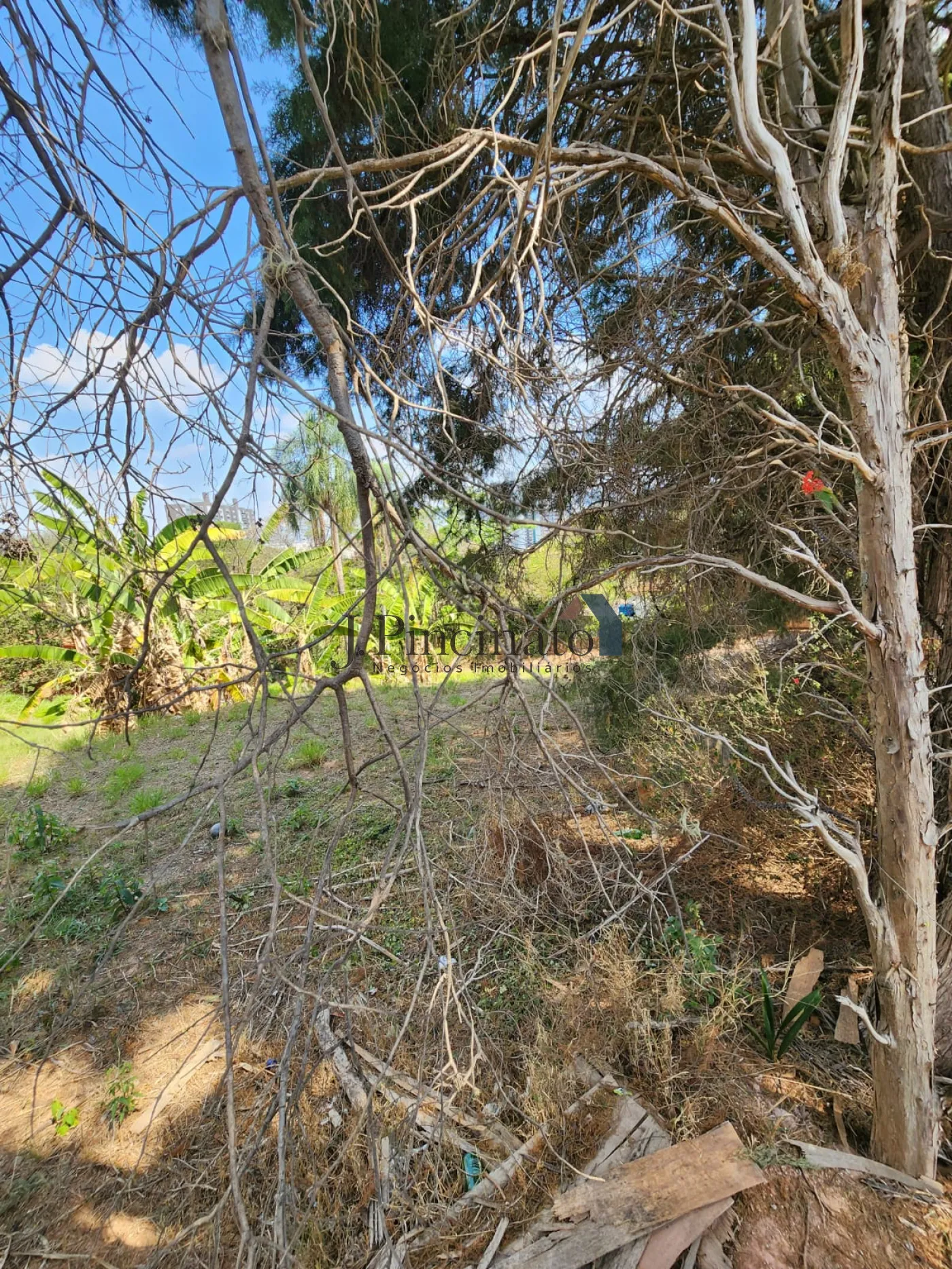 jundiai-terreno-lote-jardim-scala-30-09-2024_15-13-32-9.webp