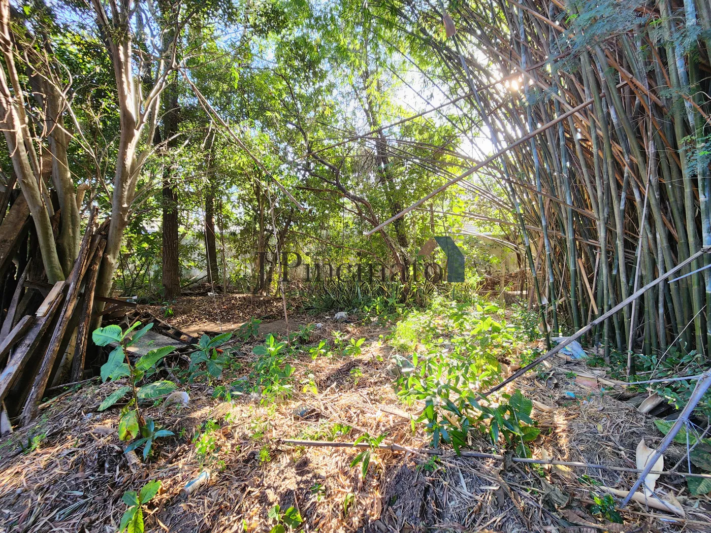 jundiai-terreno-lote-vila-campos-sales-31-07-2024_15-00-36-9.webp