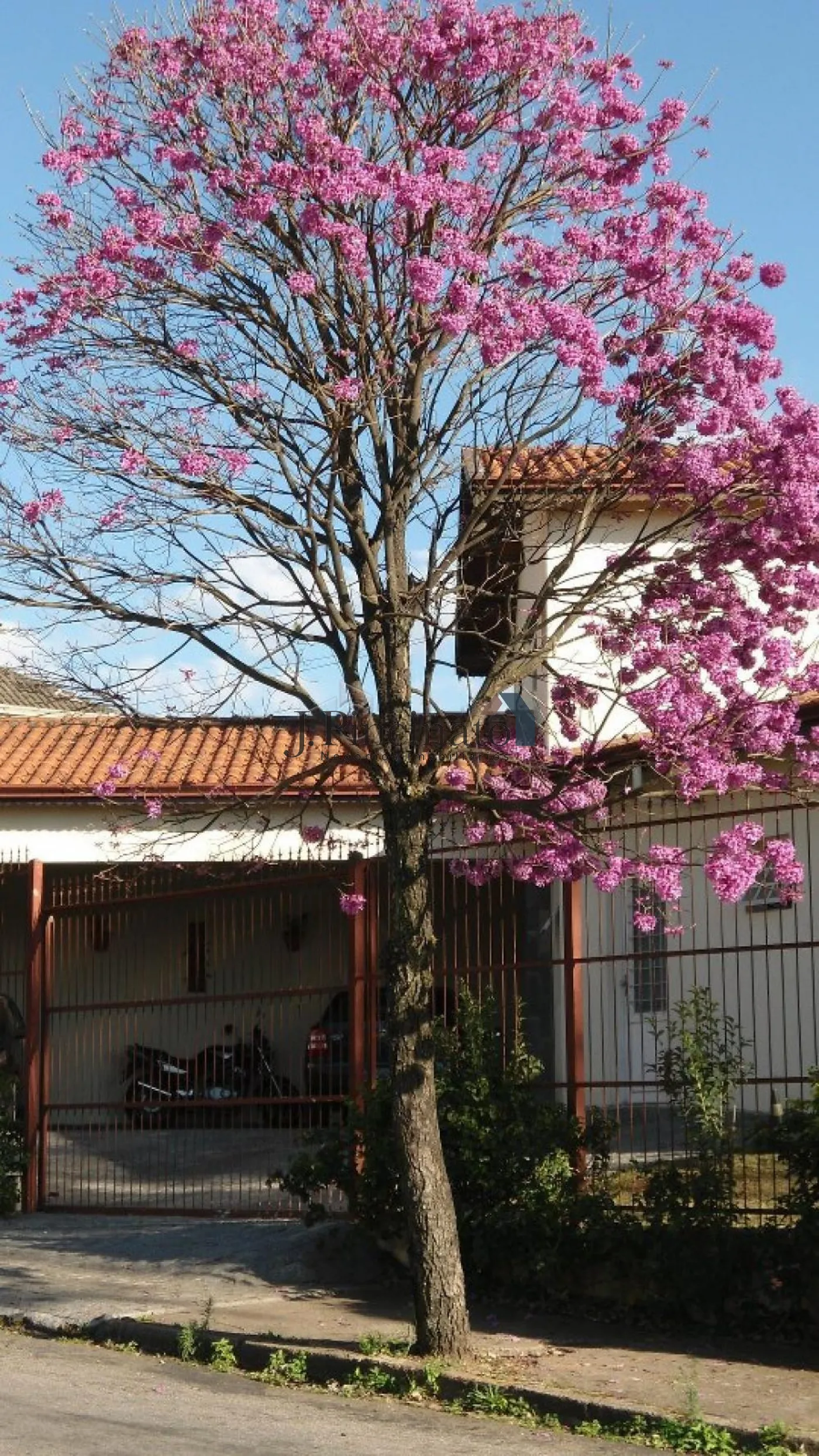 jundiai-casa-sobrado-jardim-paulista-i-24-01-2025_15-45-19-19.webp