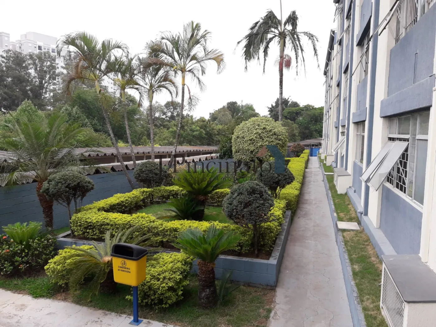 jundiai-apartamento-terreo-jardim-ana-maria-15-02-2024_12-30-40-17.webp