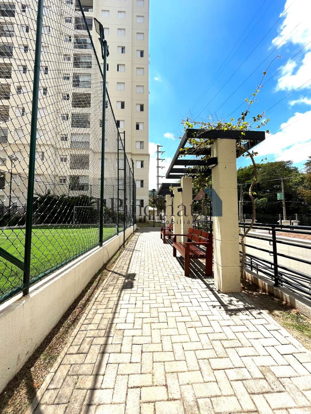 jundiai-jardim-ermida-i-atmosphera-natural-living-08-11-2022_10-44-37-5.jpg