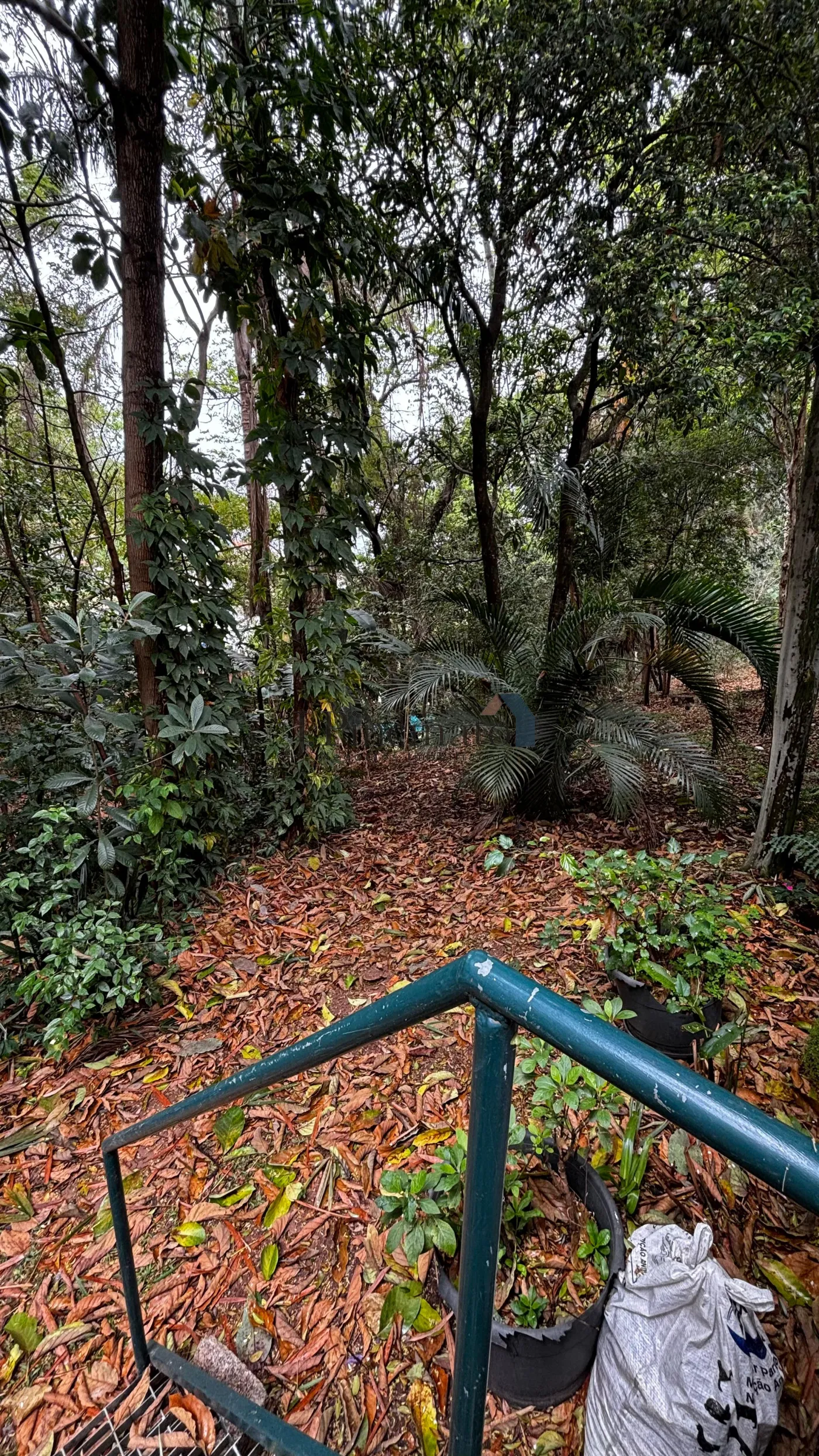 jundiai-casa-sobrado-jardim-messina-17-09-2024_10-46-00-20.webp