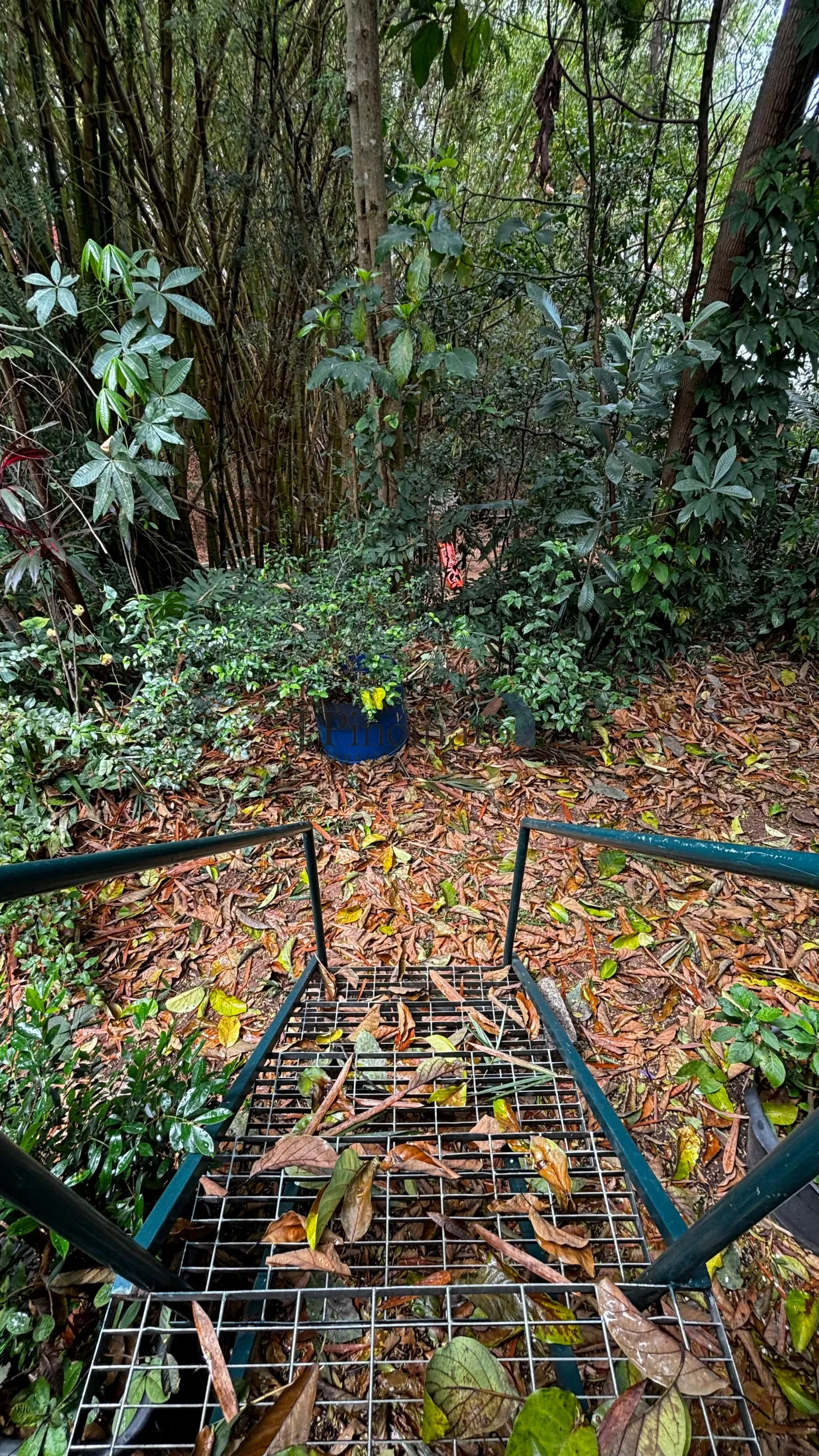 jundiai-casa-sobrado-jardim-messina-17-09-2024_10-46-01-21.webp