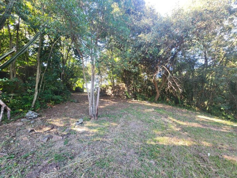 f054a4a89bb1cf00c55521acbc5dc101.jpg