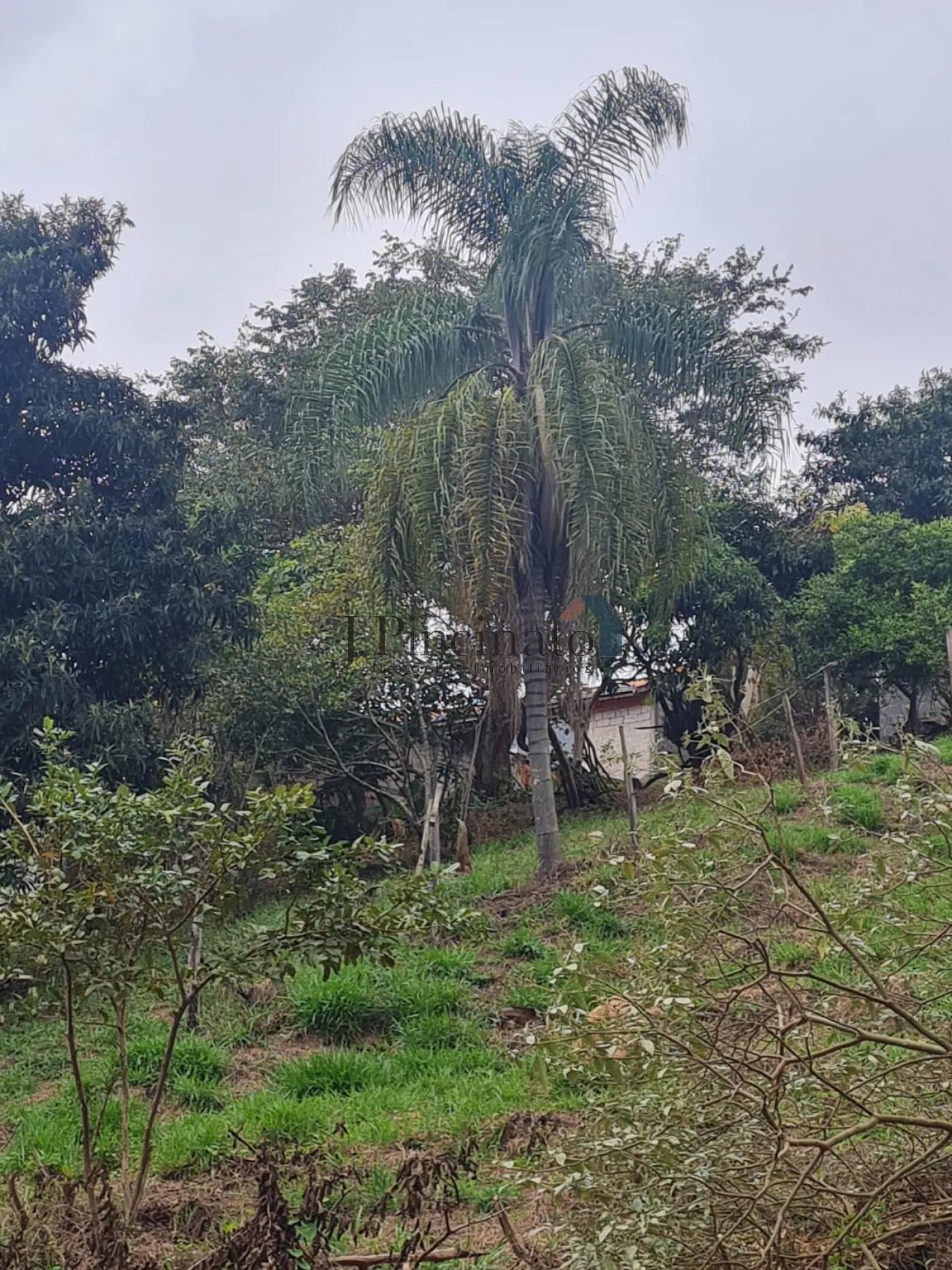 louveira-terreno-lote-monterrey-25-07-2024_12-42-54-6.webp