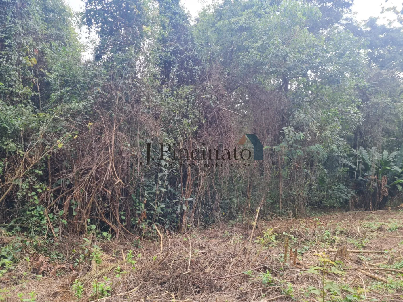 louveira-terreno-lote-monterrey-25-07-2024_12-43-00-12.webp