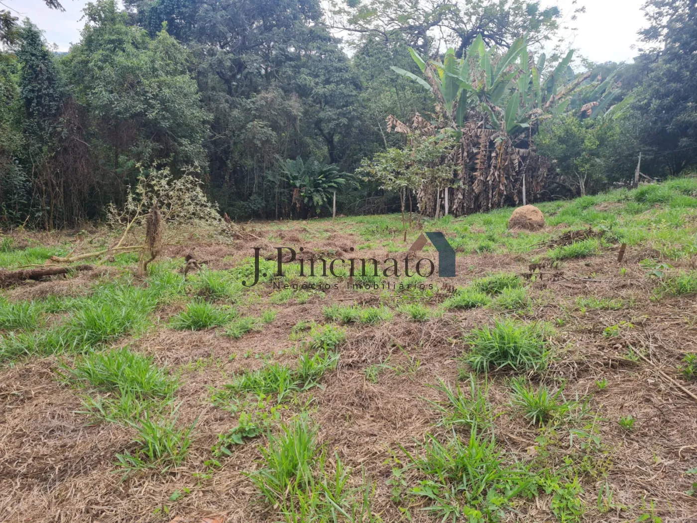 louveira-terreno-lote-monterrey-25-07-2024_12-43-02-15.webp
