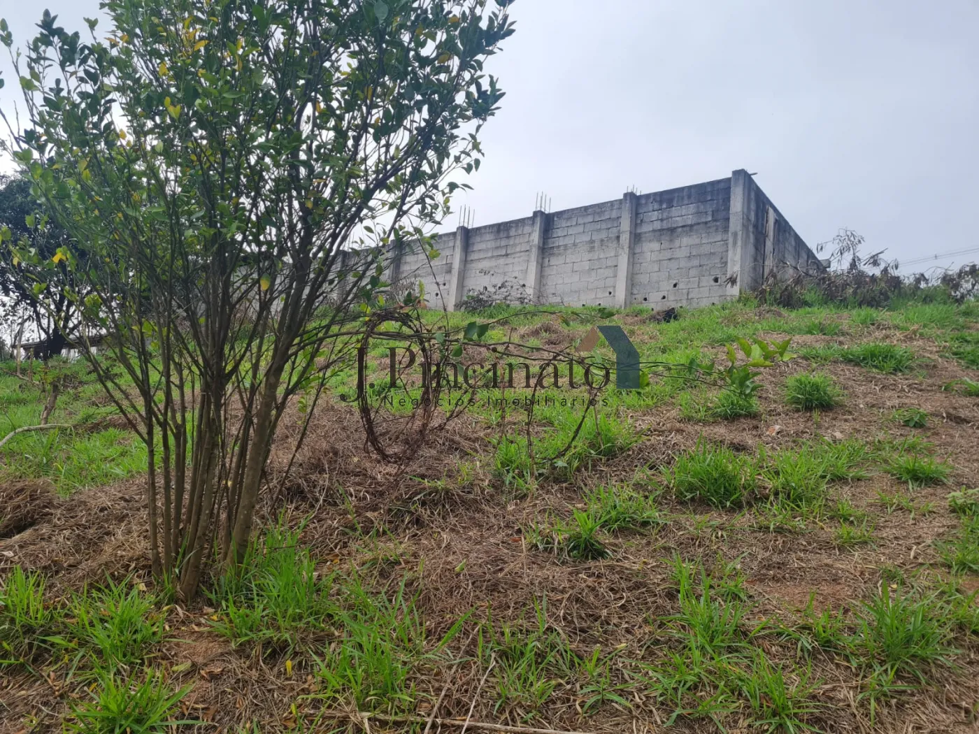 louveira-terreno-lote-monterrey-25-07-2024_12-43-03-16.webp
