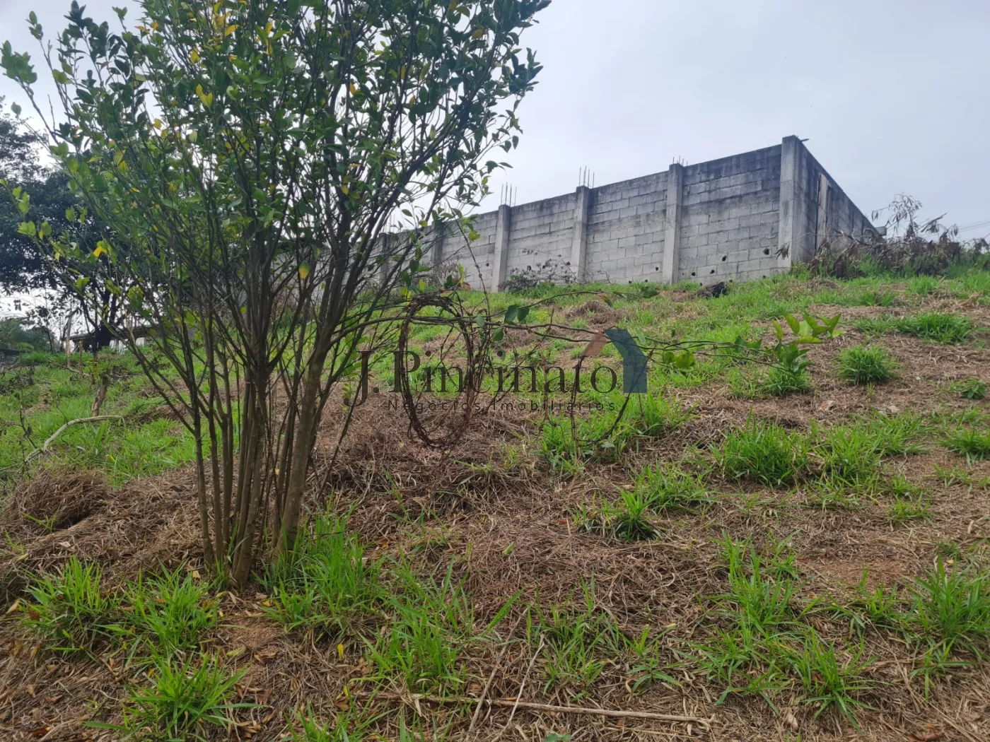 louveira-terreno-lote-monterrey-25-07-2024_12-43-06-20.webp