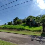 1777948271836.jpg
