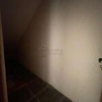 1777941812365.jpg