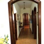 1777942684531.jpg