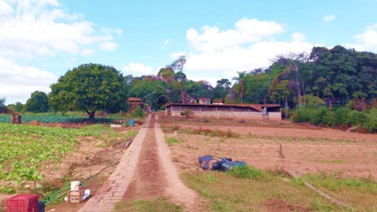 1777944135043.jpg