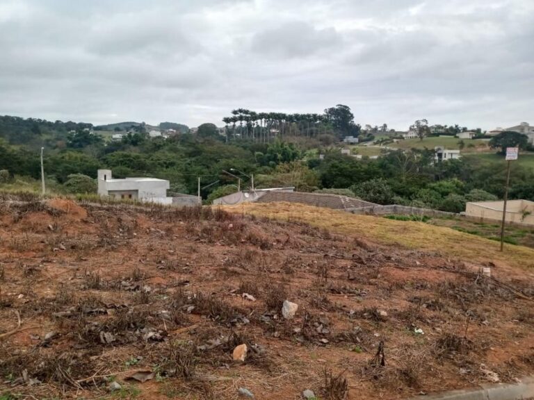 1777944285327.jpg