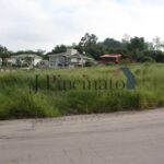 1777945544671.jpg