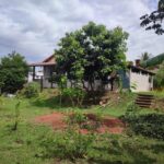 1777946010237.jpg