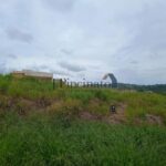 1777946079993.jpg