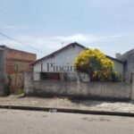 1777946124837.jpg