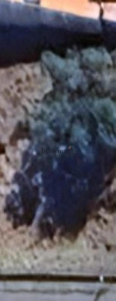 1777956412615.jpg