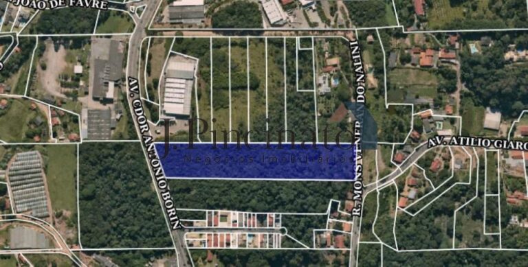 71621699-1777942622365.jpg
