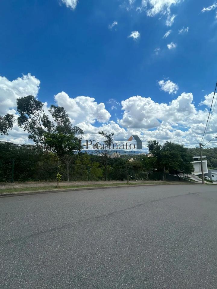 71626950-1777943888190.jpg