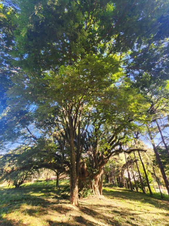 71635721-87647f930a843a8c8ce6757302a5c69b.jpg