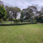 71639062-d9c977b6d3795d64a1184e5bce460df5.jpg